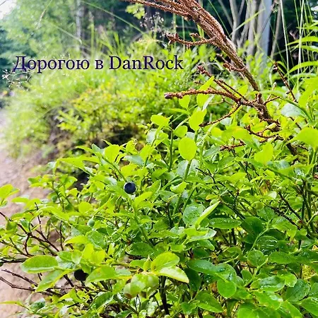 Danrock
