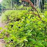 Danrock