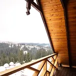 Danrock Apartment Yablunytsya